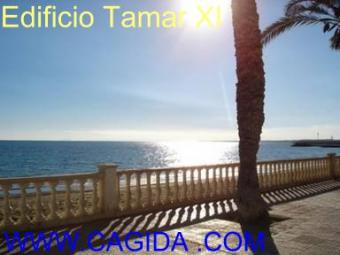 Apartment Tamar XI, Torrevieja Torrevieja